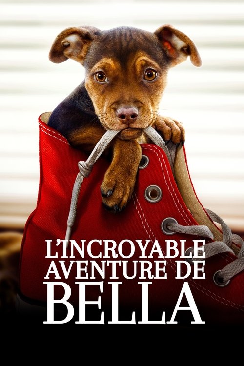 L'Incroyable Aventure de Bella (2019)