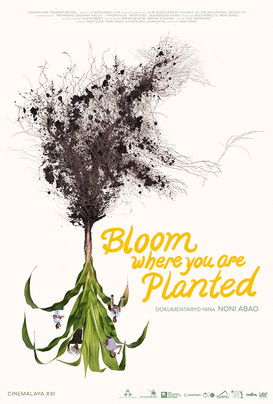 Bloom Where You Are Planted