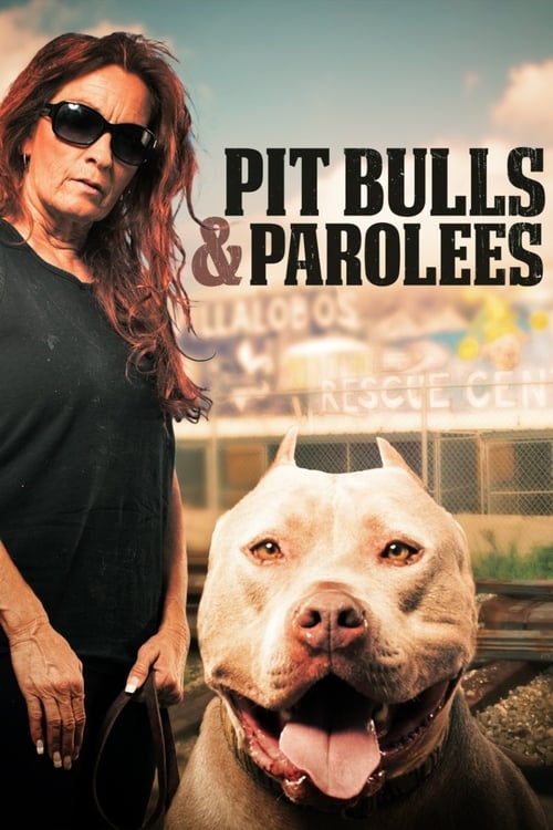 Pitbulls auf Bewährung poster