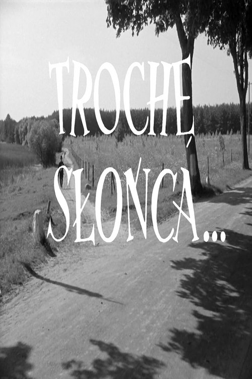 Trochę słońca...