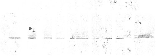 Birth of The Stunner