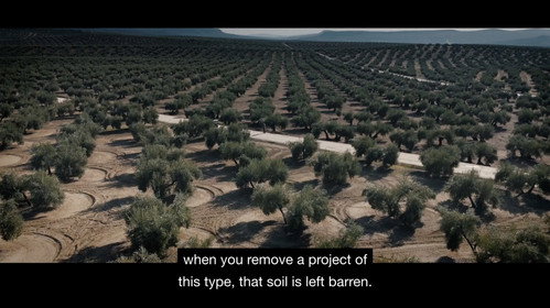 Forced Renewables — Backdrops 3