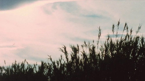 An Architecture of Desire