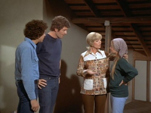 Poster della serie The Brady Bunch