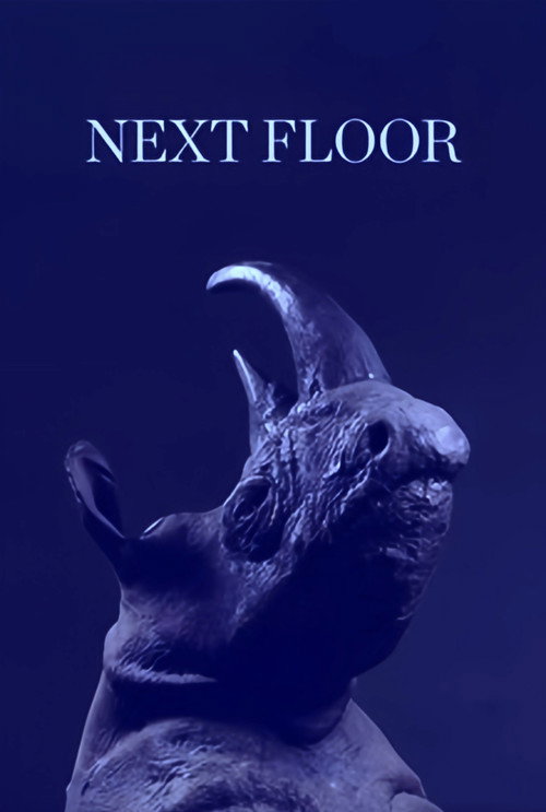 Affiche de Next Floor