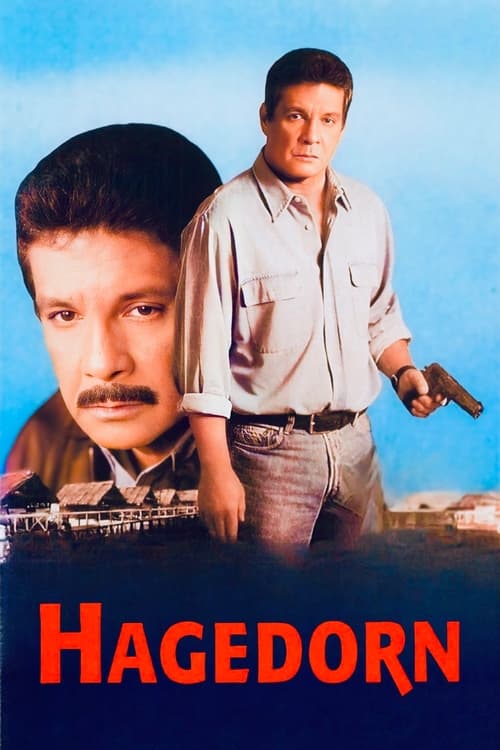 Poster Hagedorn 1996