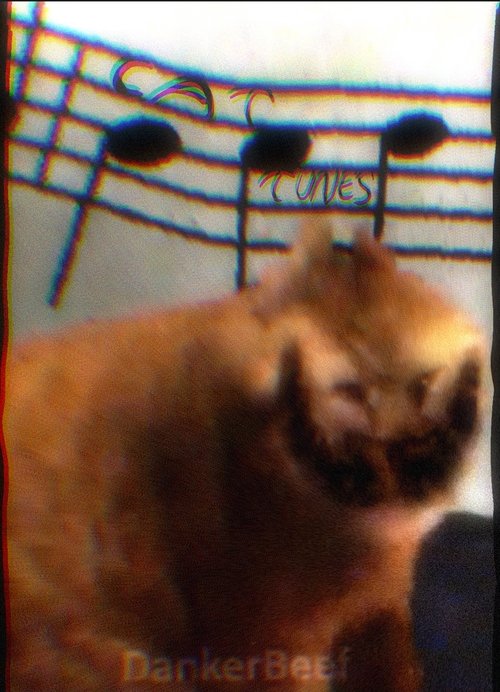 Cat Tunes