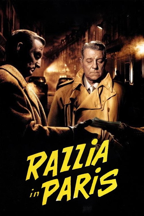 Razzia poster