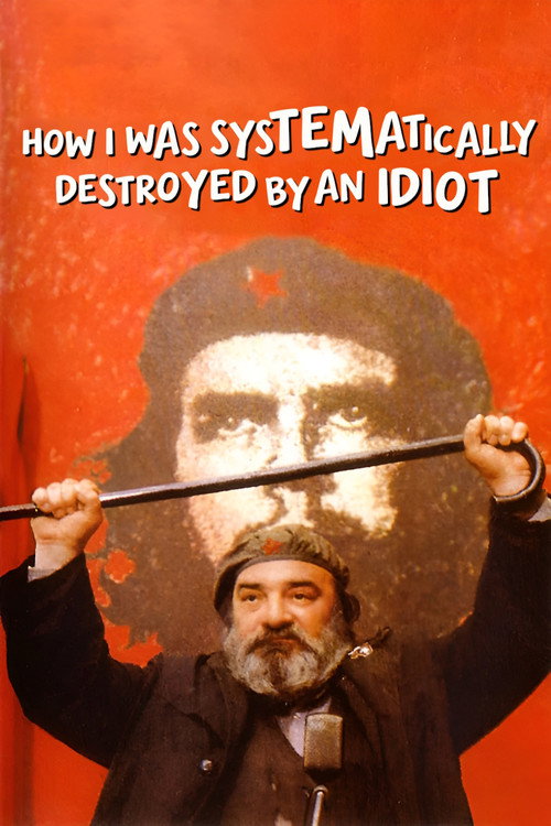 How I Was Systematically Destroyed by an Idiot poster