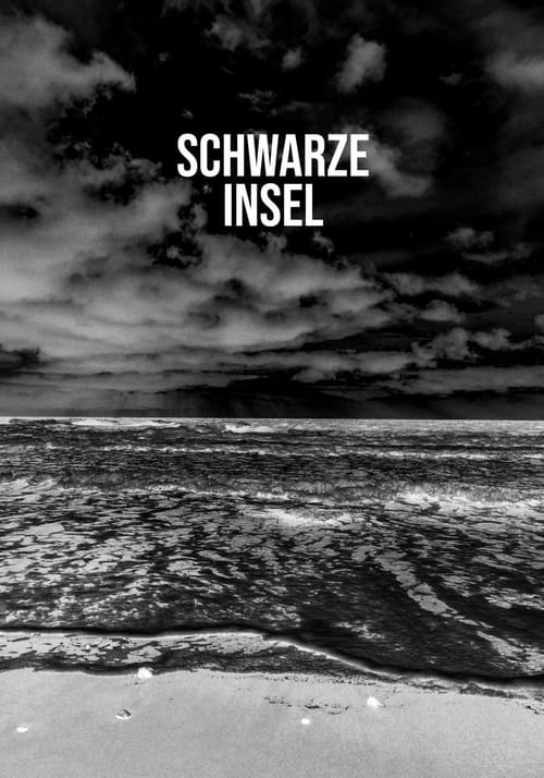 Nach dem tragischen Tod seiner Eltern lebt Abiturient Jonas auf einer Nordsee-Insel bei seinem Großvater. Es ist eine Zeit des Aufbruchs, die Zeit der ersten großen Liebe. Die Ankunft der neuen, jungen Deutschlehrerin Helena stellt Jonas’ Leben vollends auf den Kopf. Sie erkennt und fördert sein Schreibtalent und nutzt dieses entstehende Vertrauen, um eine intime Beziehung zu ihm aufzubauen. Jonas ahnt jedoch nicht, dass Helena einen tödlichen Plan verfolgt. Schwarze Insel ist ein vielschichtiger Thriller, der von der verhängnisvollen Beziehung eines Schülers zu seiner Lehrerin erzählt.