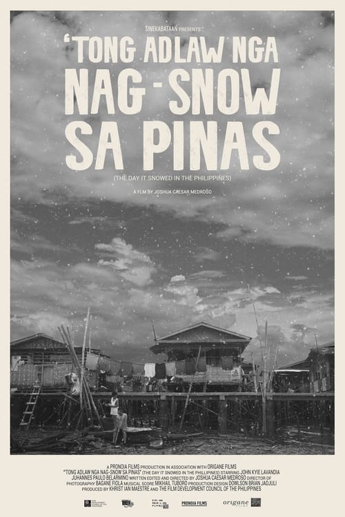 The Day It Snowed In The Philippines (2022)