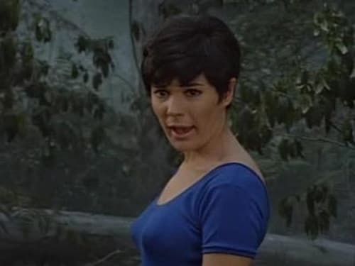 Skippy the Bush Kangaroo, S01E06 - (1968)