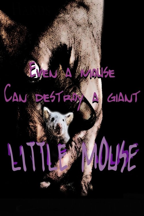 Little Mouse poster