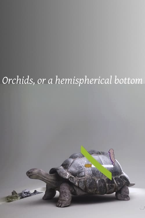 Orchids, or a hemispherical bottom (2013)