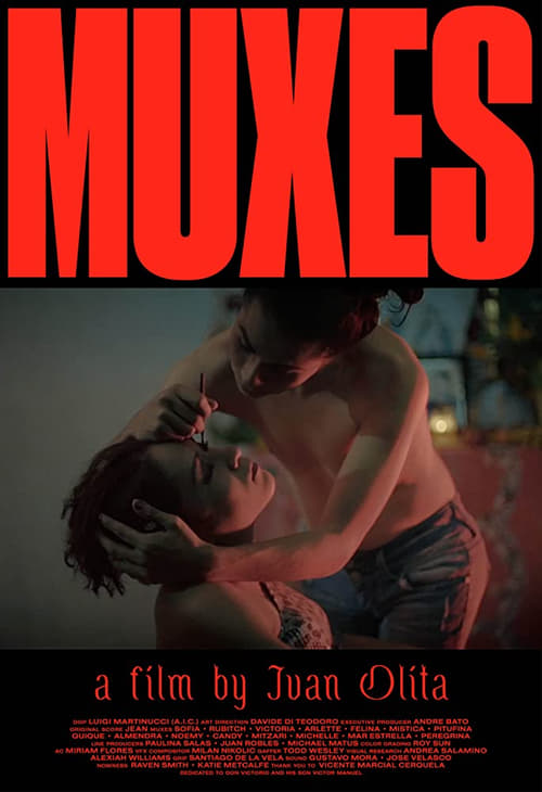 Muxes (2016) poster