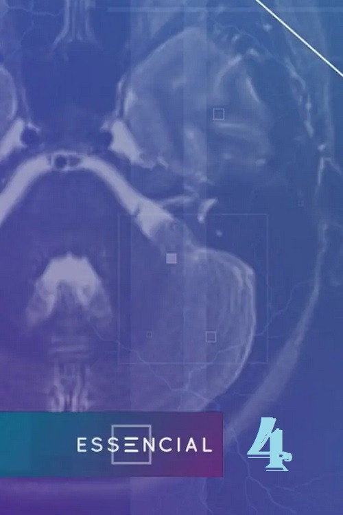 Season 4 (2023) - Season 4 poster and promotional image