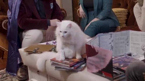 Image de l'épisode 9