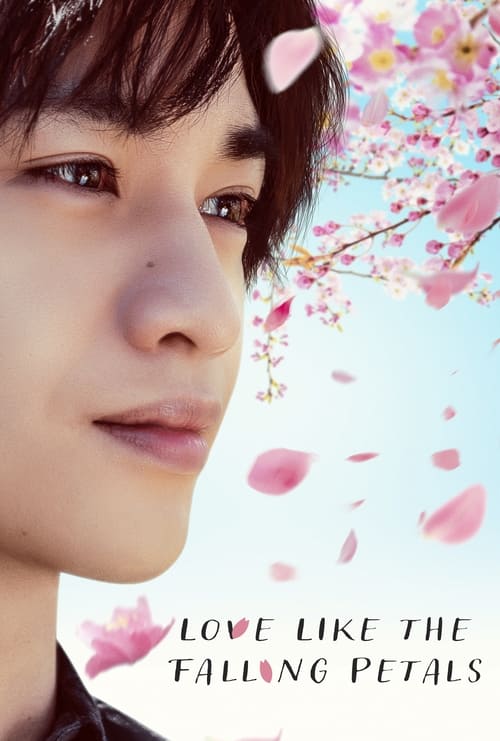 Download Love Like the Falling Petals Dailymotion