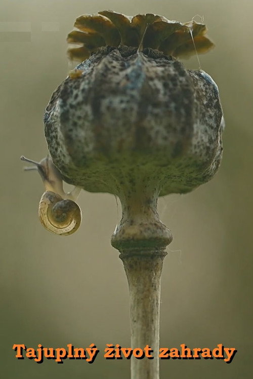 La vie secrète du jardin