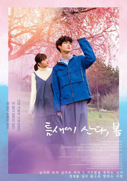 Spring in Between poster