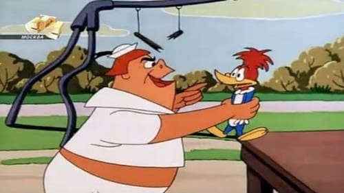 Poster della serie The Woody Woodpecker Show