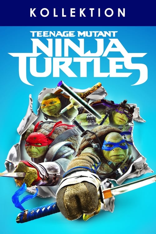 Teenage Mutant Ninja Turtles (Michael Bay) Filmreihe Poster