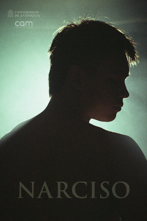 Narciso