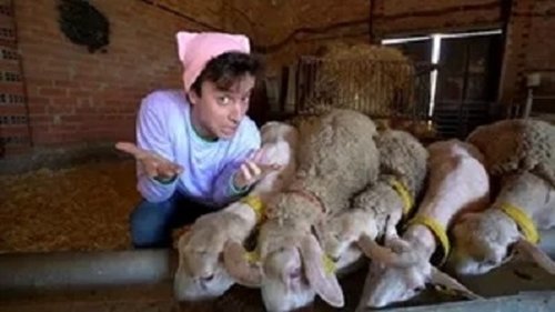 Image de l'épisode 1