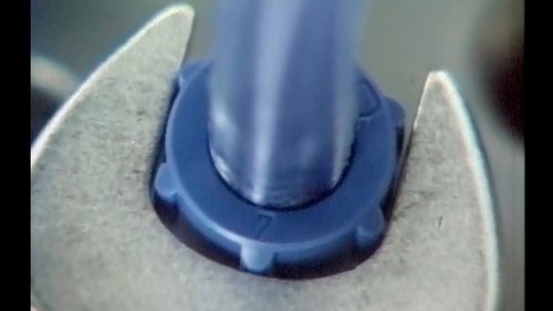 Image de l'épisode 295