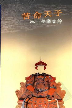 百家讲坛《苦命皇帝咸丰》 (2009) poster