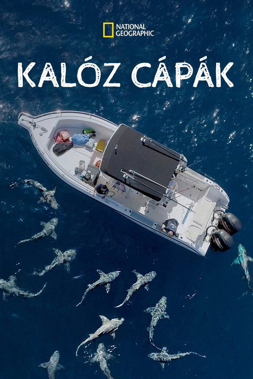 Jaws vs. Boats poster