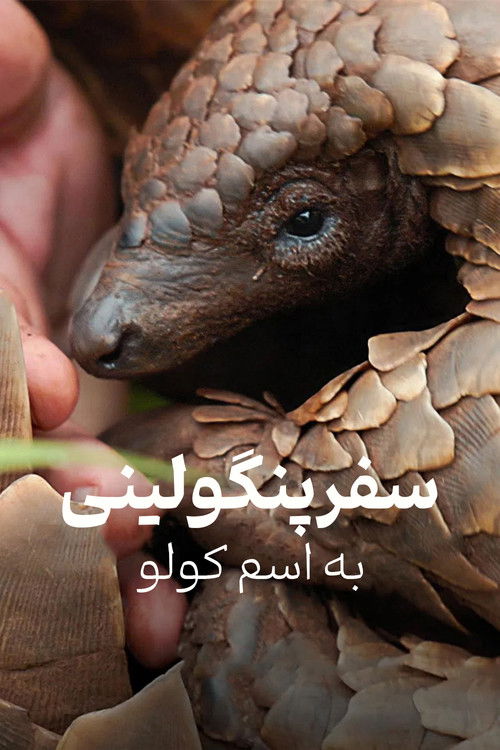 Pangolin: Kulu's Journey poster