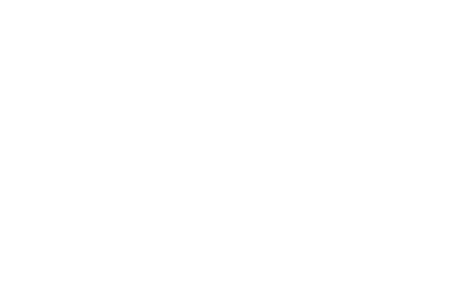 The Commandant's Shadow