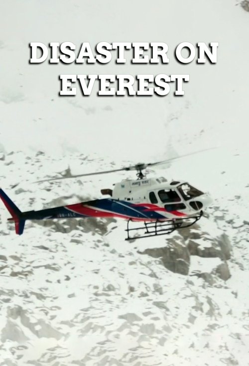 Disaster on Everest poster