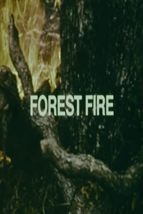 Poster Your Chance to Live: Forest Fire 1973