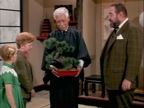 Family Affair, S04E17 - (1970)