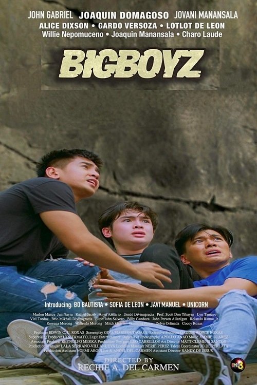 Big Boyz movie poster