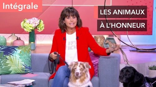 Image de l'épisode 61