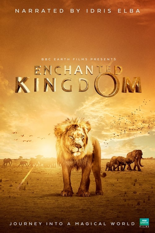 Enchanted Kingdom 2014
