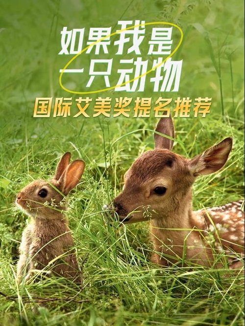 If I were an Animal Season 1