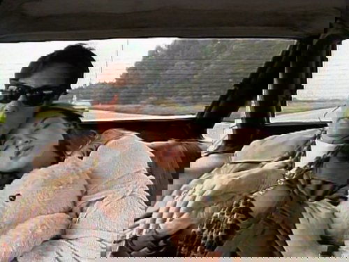 Poster della serie Sex Appeal