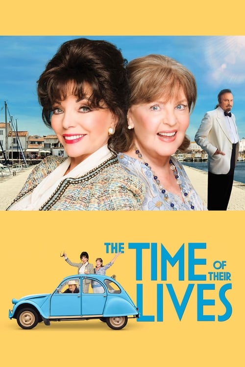 Grootschalige poster van The Time of Their Lives