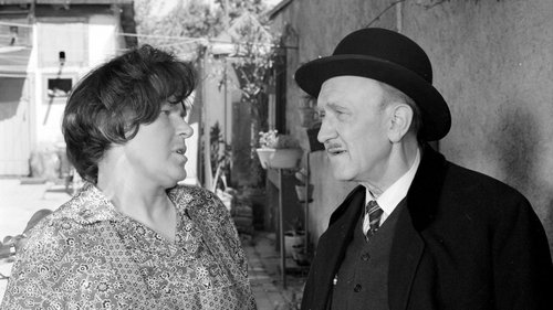 Épisode 11