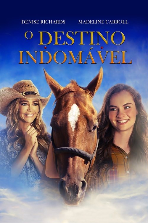 Destined to Ride movie poster player