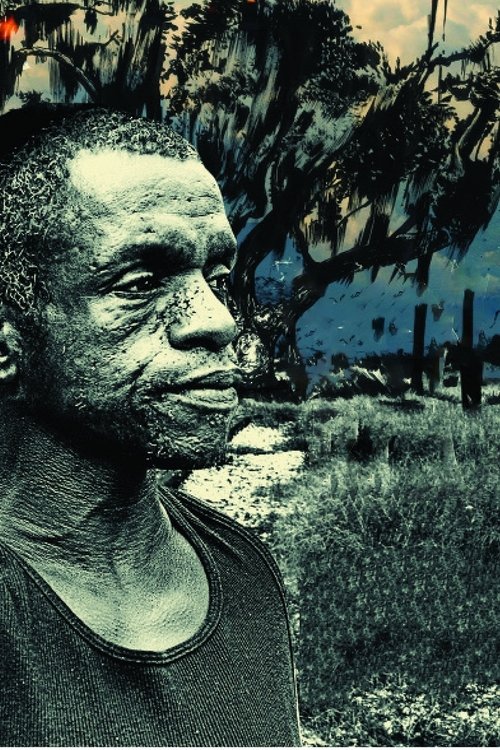 Bayou Blue poster