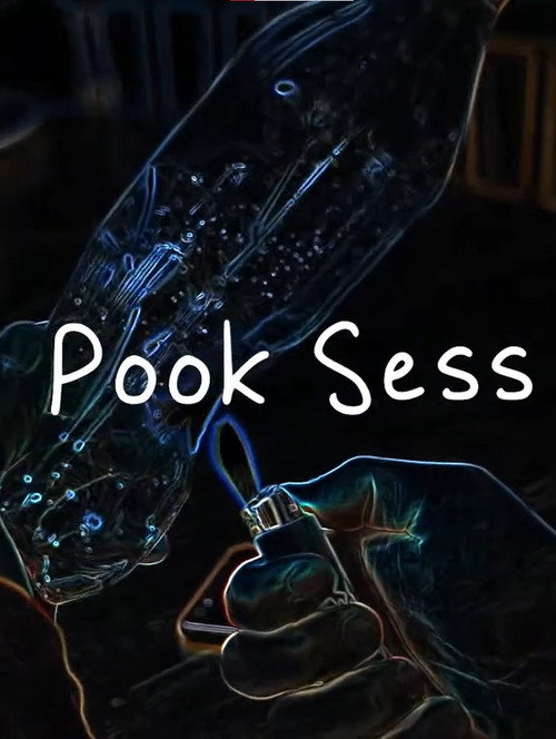 Cartell de Pook Sess