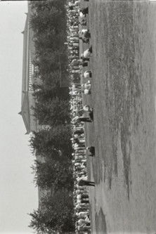 All-Star Baseball Meets at Grant Park
