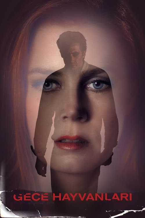 Nocturnal Animals (2016)