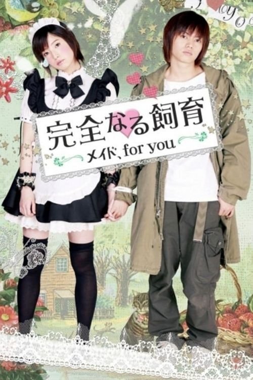 Perfect Education: A Maid for You Movie Poster Image