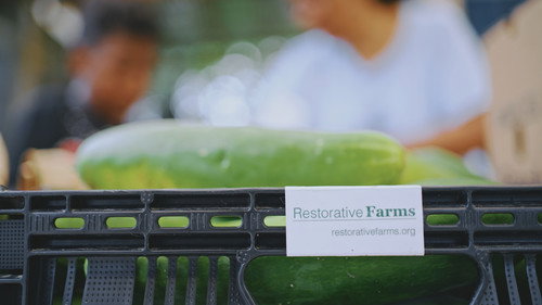 Grow a Better Dallas